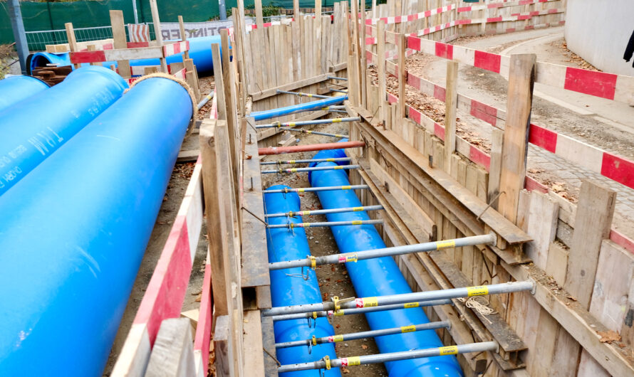 Einblicke in die Unterwelt von Währing