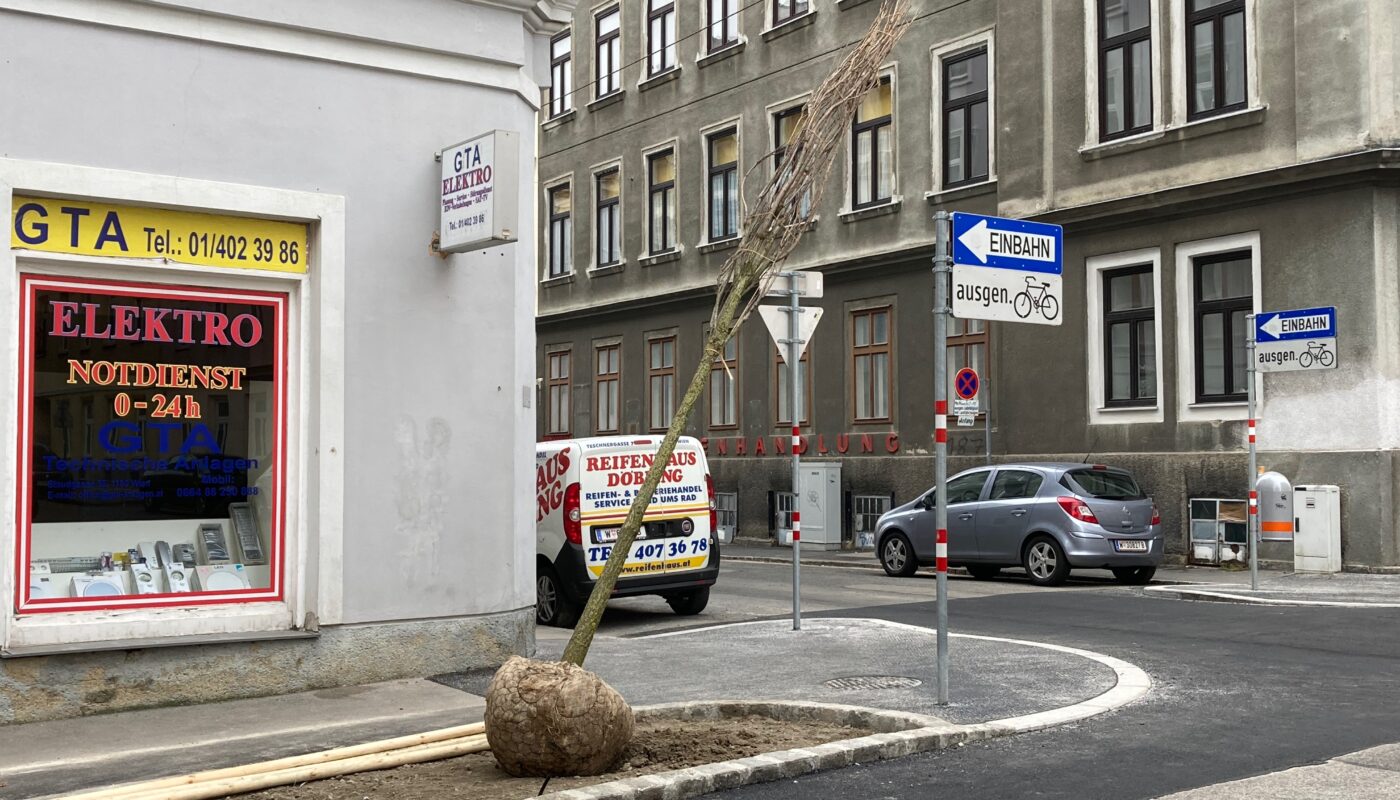 Baum in der Teschnergasse