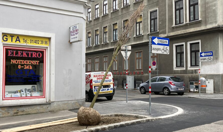 Fünf neue Bäume in der Teschnergasse