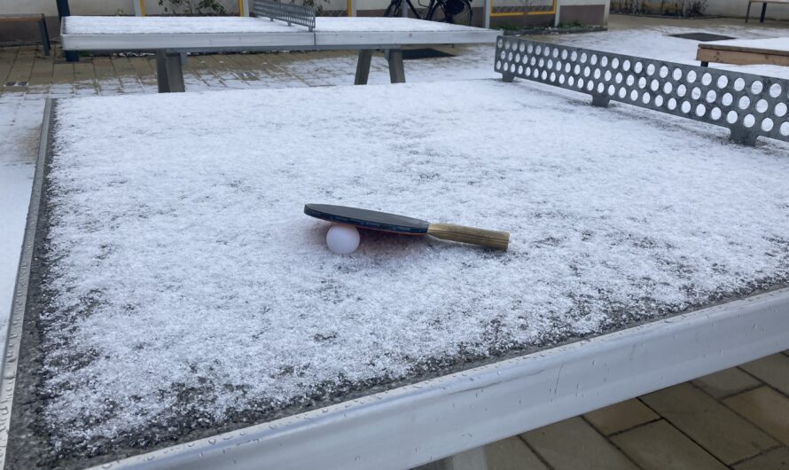 Tischtennisboom durch Corona-Pandemie