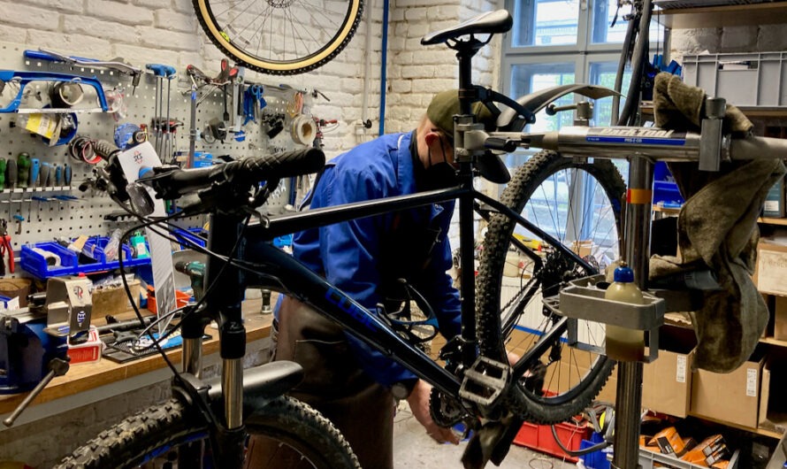 Radfahren im Frühling: Der Weg zum Frühjahrs-Check