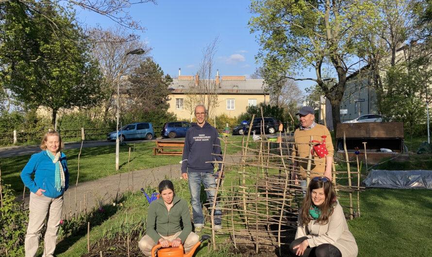 Zusammenwachsen im Gemeinschaftsgarten