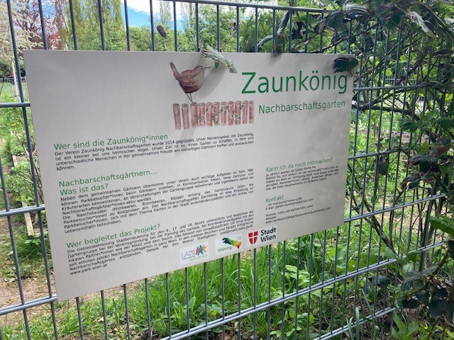 Zaunkönig - Gemeinschaftsgarten