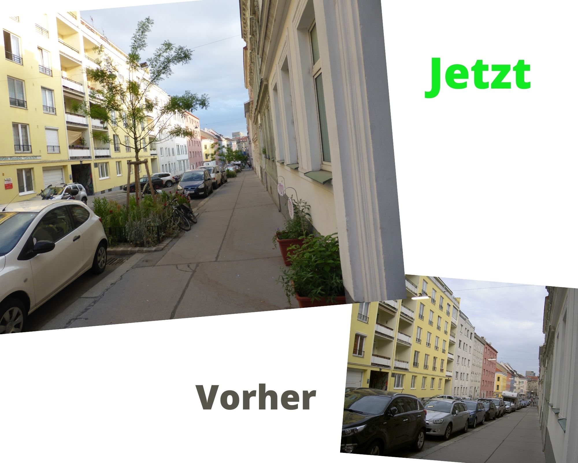 Theresiengeasse bepflanzt