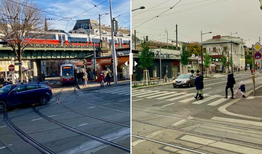 Die Bäume am Gersthofer Platzl sind da