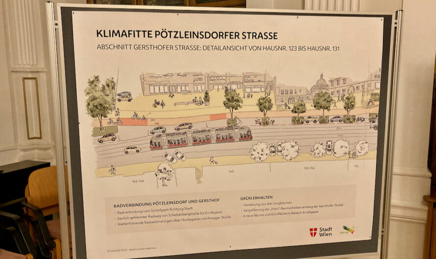 Wie läuft die Sanierung der Pötzleinsdorfer Allee ab?