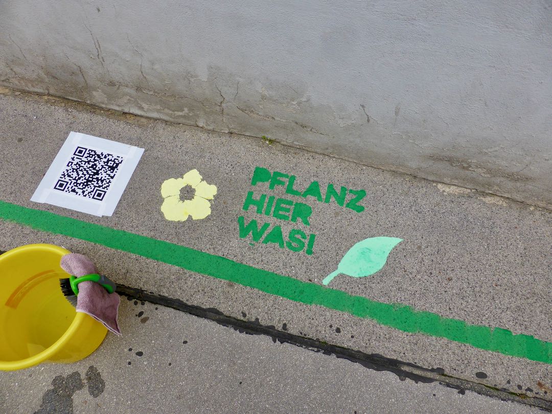 Pflanz hier was