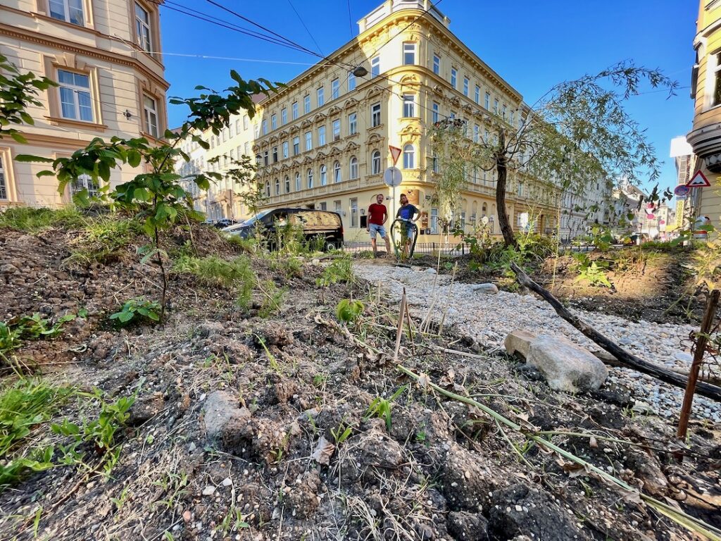 Aumannplatz Bachbett