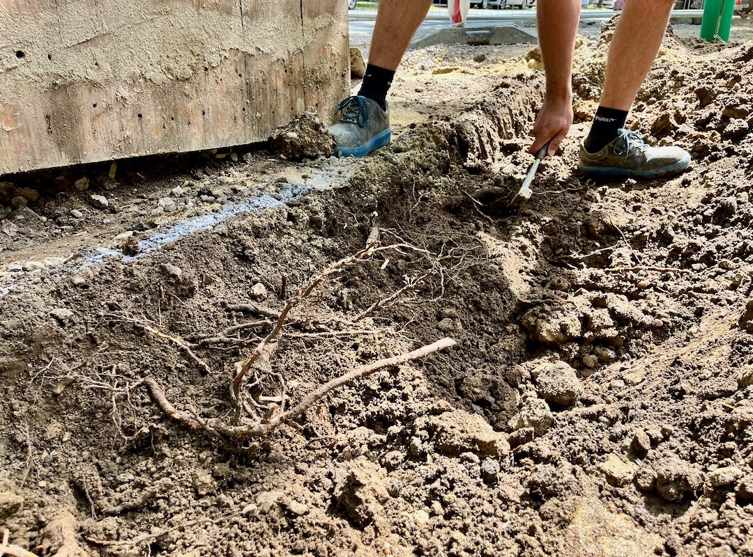 Handarbeit in der Pötzleinsdorfer Allee