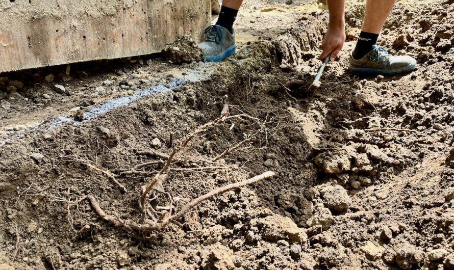 Handarbeit für die Pötzleinsdorfer Allee