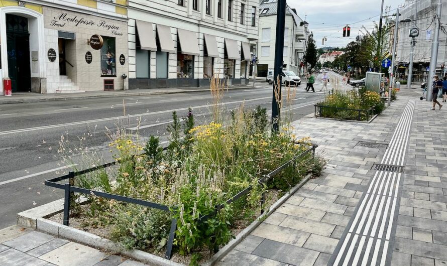 Was ist mit den Bäumen am Gersthofer Platzl passiert?