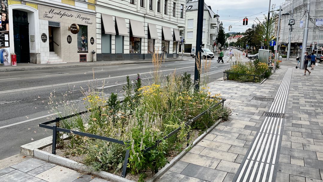 Baumscheiben Gersthofer Platzl