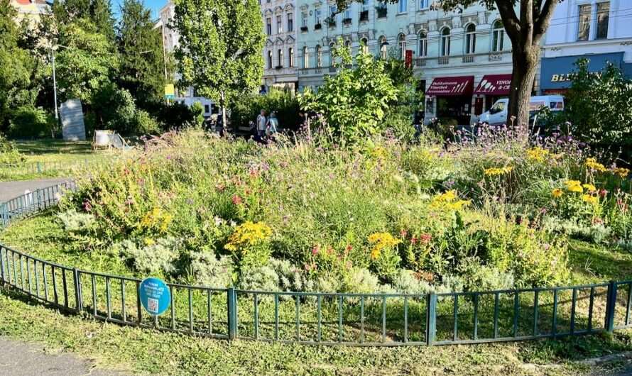 Große Artenvielfalt am Aumannplatz