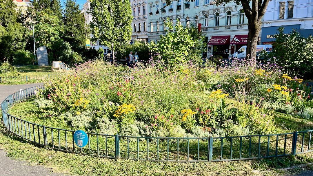 Aumannplatz Blumenbeet