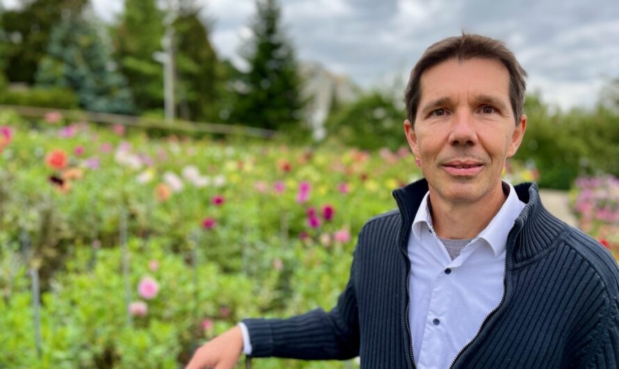 Dahlien-Paradies in Pötzleinsdorf