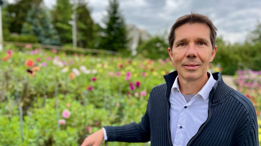 Dahlien Gerhard Wirth