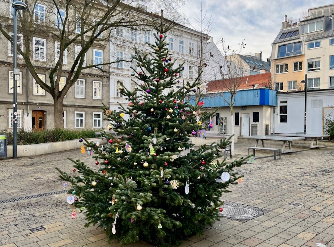 Weihnachtsbaum Voglmarkt