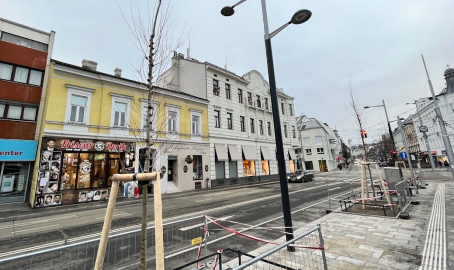 Neue Bäume am Gersthofer Platzl sind da