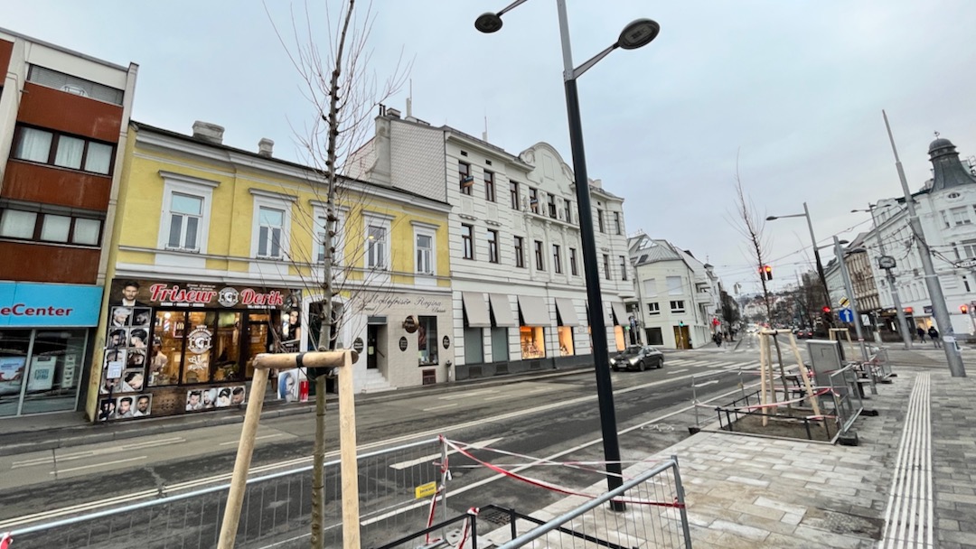 Neuer Baum Gersthofer Platzl