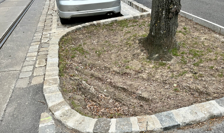 Pötzleinsdorfer Allee: Bitte geben Sie Acht!