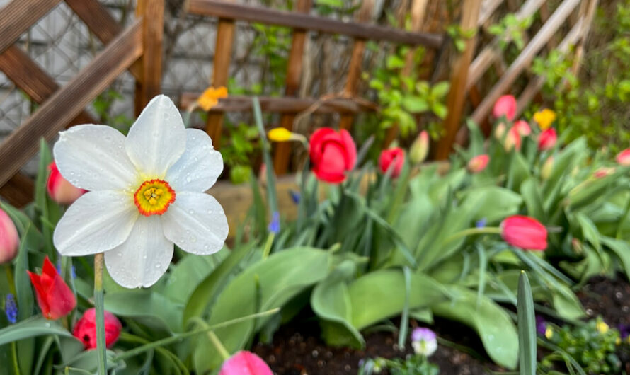 Klimateam – Einreichfrist startet