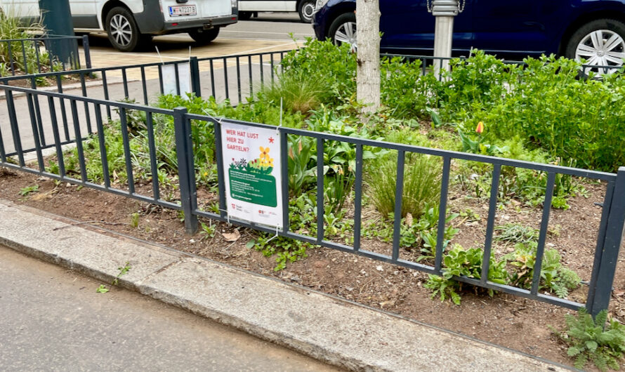 Garteln in der Baumscheibe vor dem Haus