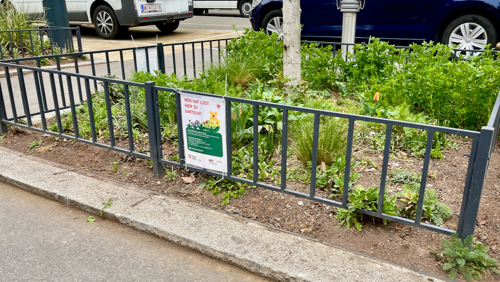 Baumscheiben Voglmarkt