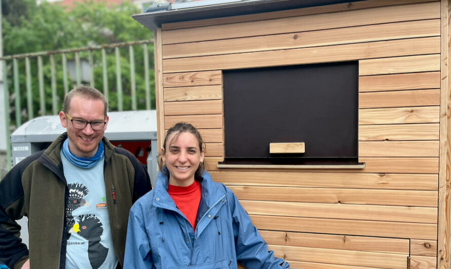 Das Wurmhotel macht beste Erde aus dem Biomüll