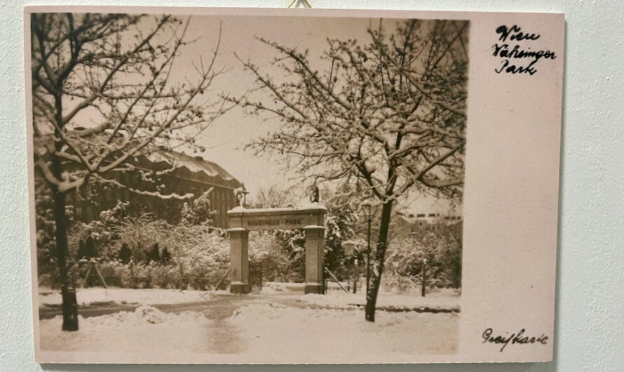 Ausstellung zum 100. Jubiläum des Währinger Park