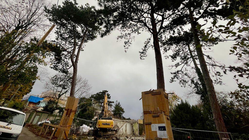 Franz-Barwig-Weg Bäume