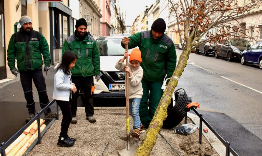 Baumpflanzungen in Währing