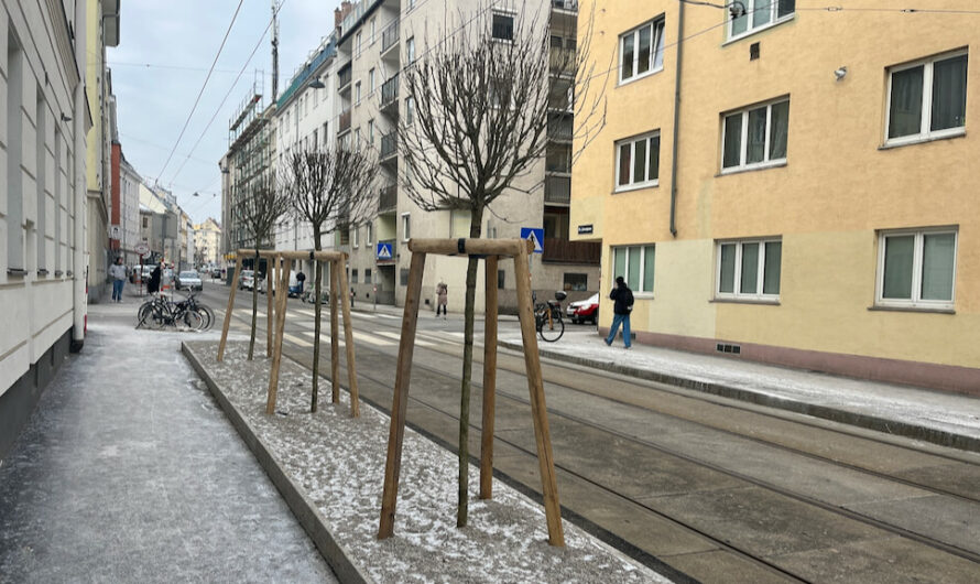 Freiere Fahrt für Straßenbahnen in der Kreuzgasse