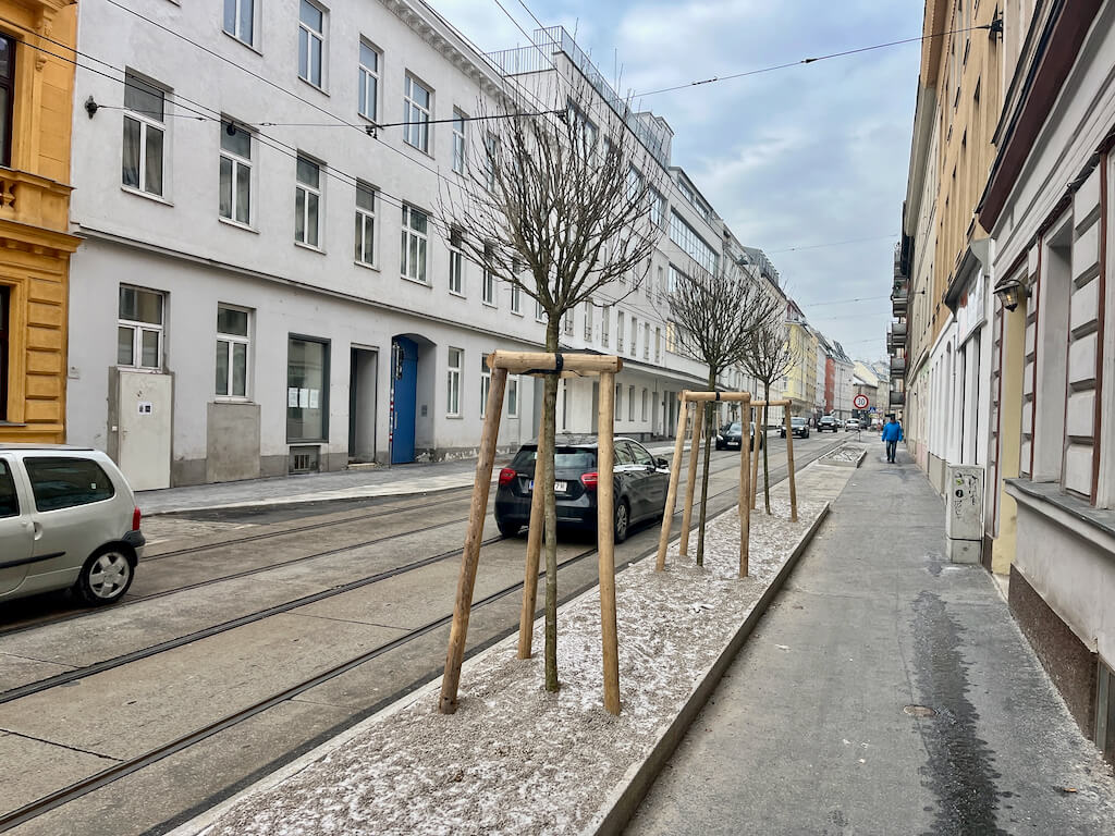 Kreuzgasse Bäume