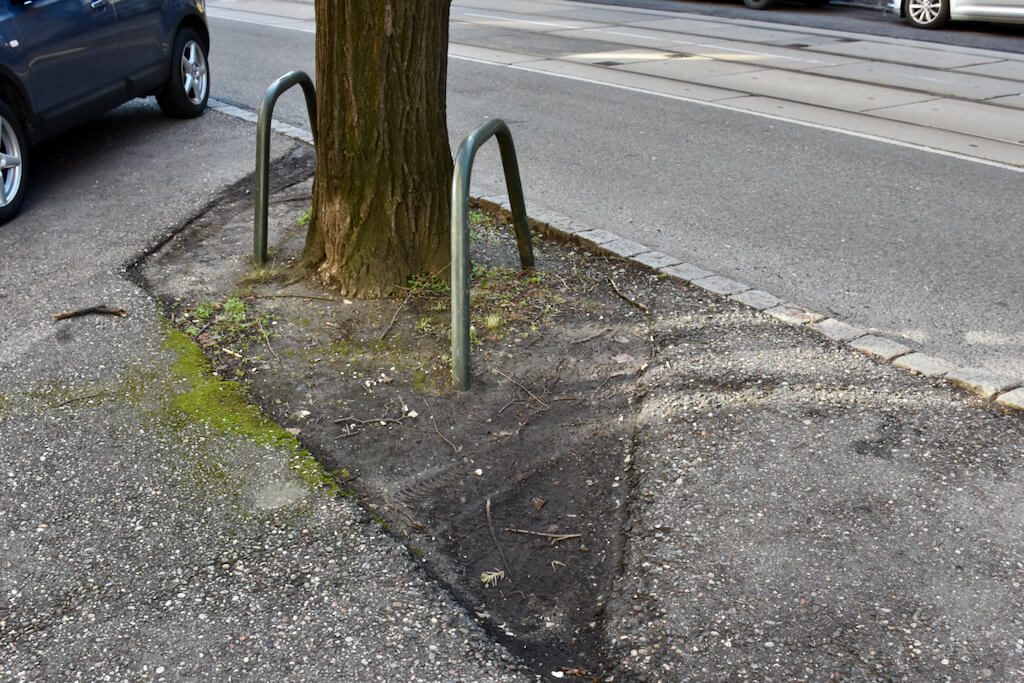 Obere Kreuzgasse Baumscheibe