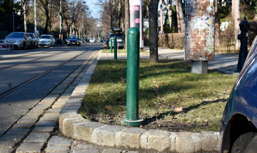 Poller müssen Baumscheiben schützen