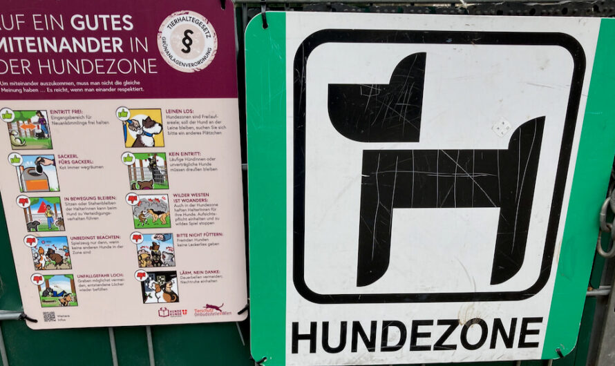 Das sind die Lieblingshunde in Währing