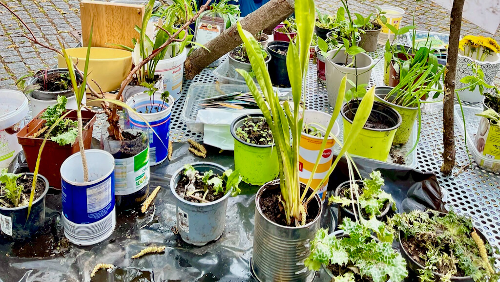 Pflanzentausch Pötzleinsdorf