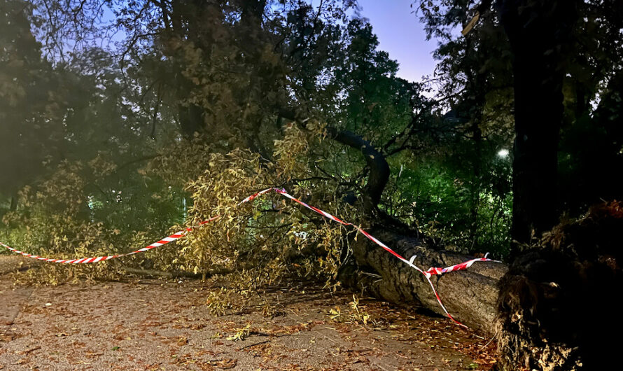 Schäden und Verkehrsprobleme durch Sturm