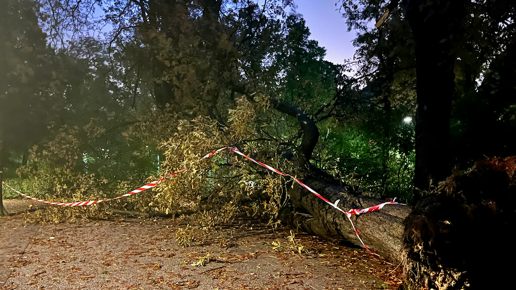 Sturm Türkenschanzpark