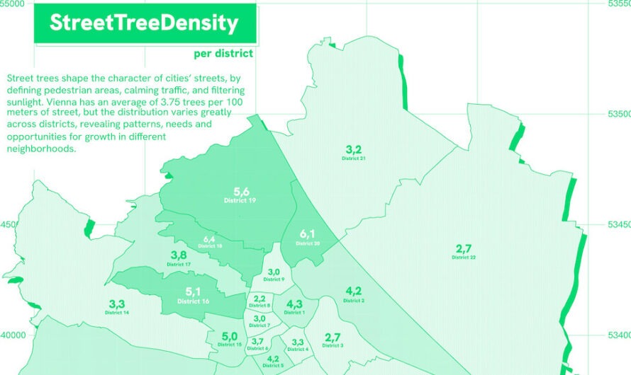 Straßenbäume: Währing ist Nummer eins in Wien