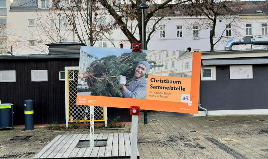 Das sind die Christbaum-Sammelstellen in Währing