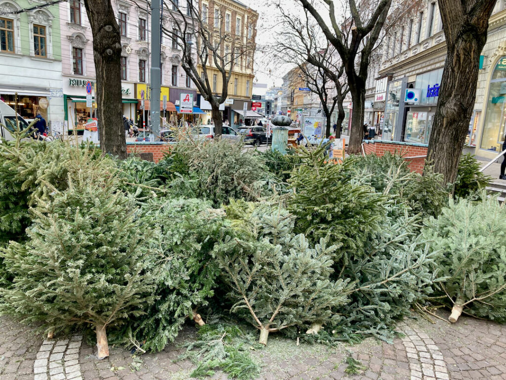 Christbaum Sammelstelle