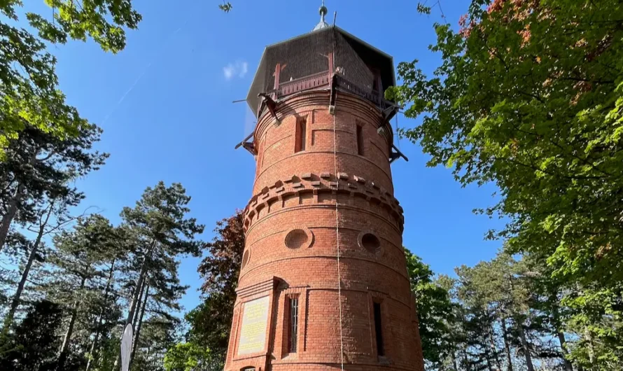 Paulinenwarte startet in die Sommersaison